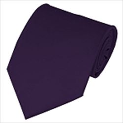 Eggplant Traditional Necktie008